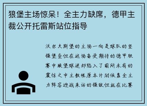 狼堡主场惊呆！全主力缺席，德甲主裁公开托雷斯站位指导