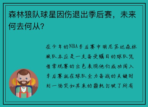 森林狼队球星因伤退出季后赛，未来何去何从？